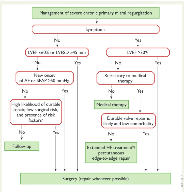 Figure 4 Management of severe chronic primary mitral regurgitation. AF = atrial fibrillation; BSA = body surface area; CRT = cardiac resynchroni- resynchroni-zation therapy; HF = heart failure; LA = left atrial; LVEF = left ventricular ejection fraction; L