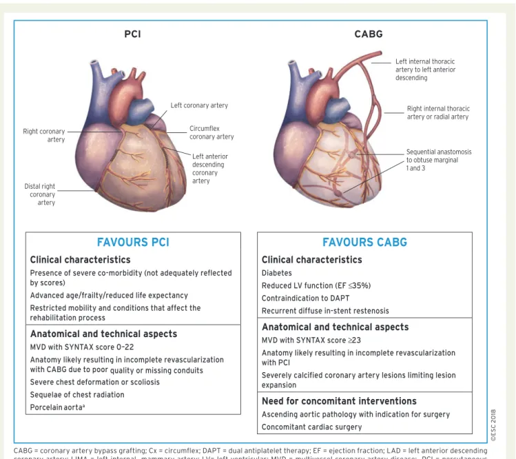 Figure 3 Aspects to be considered by the Heart Team for decision-making between percutaneous coronary intervention and coronary artery bypass grafting among patients with stable multivessel and/or left main coronary artery disease.