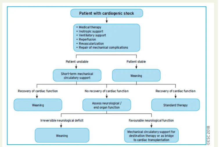 Figure 6 Algorithm for the management of patients with cardiogenic shock.