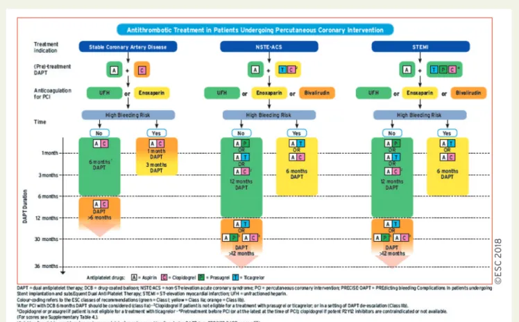 Figure 10 Algorithm for the use of antithrombotic drugs in patients undergoing percutaneous coronary intervention