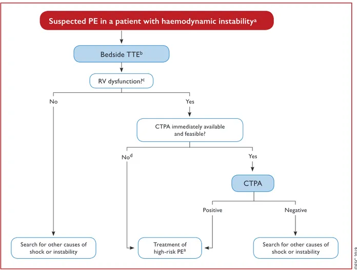 Figure 4 Diagnostic algorithm for patients with suspected high-risk pulmonary embolism presenting with haemodynamic instability.