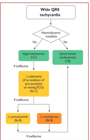 Figure 5 Acute therapy of wide complex tachycardia in the absence of an established diagnosis.