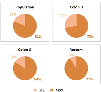 Figure 5 : Répartition du statut microsatellite des ADCI colorectaux métastatiques.  