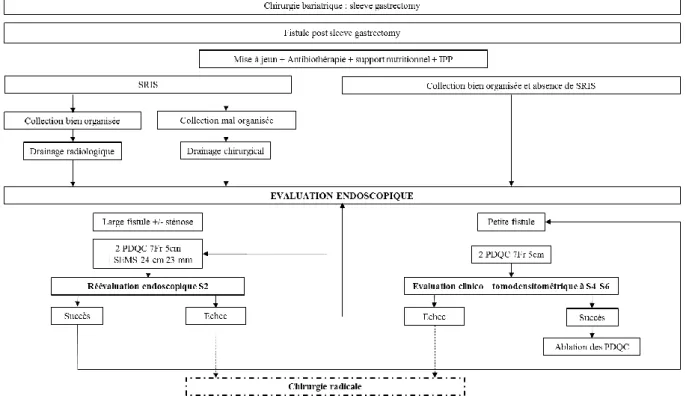 Figure 7 : Prise en charge de la FG post SG  