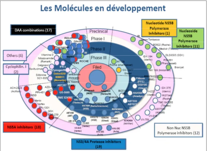 Figure 3.  Molécules anti-VHC (DAA) en développement en 2013 (Marc Bourlière, avril 2013) (14) 
