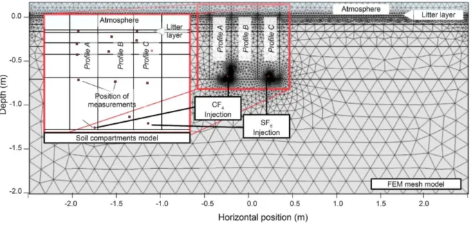 Fig.  1.  2D  models  of  the  soil  profile.  Gas  sampling  positions  and  spatial  soil  compartments  are  displayed in the conceptual model (zoom section).The interface between litter layer and mineral soil  is set to 0 cm depth