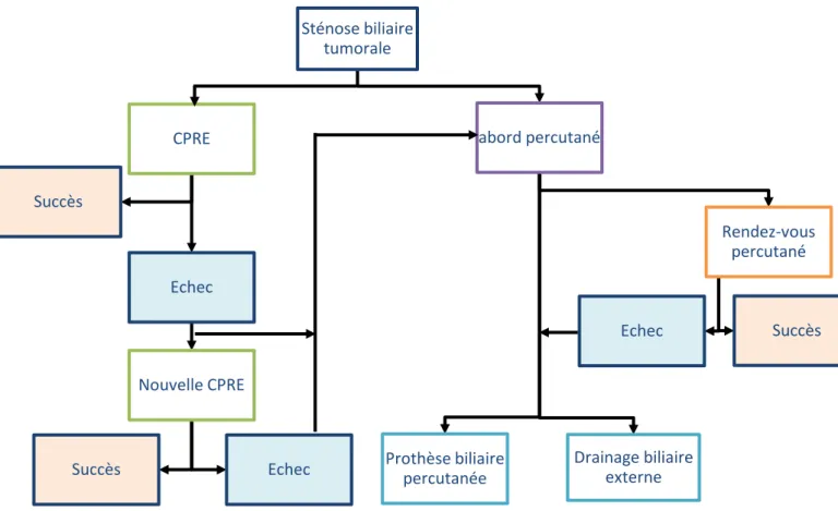 Figure 1: algorithme décisionnel de drainage biliaire &#34;Amienois&#34;