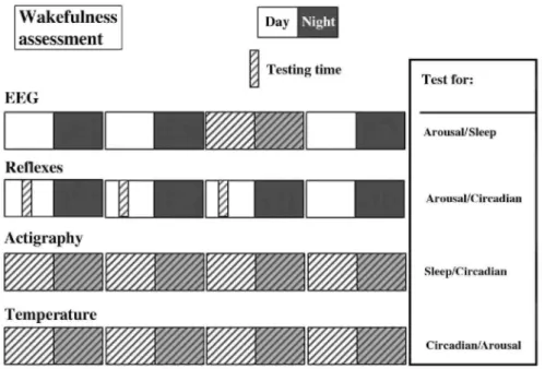 Fig. 4. Wakefulness assessment for DOC patients. For each test the proposed testing time is shown, as well as   the factor it addresses.