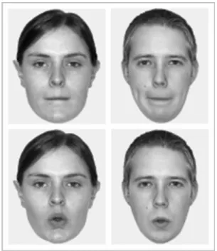 Figure 1. Sample face stimuli showing a [m] sound (top) and an [o] sound (bottom). 