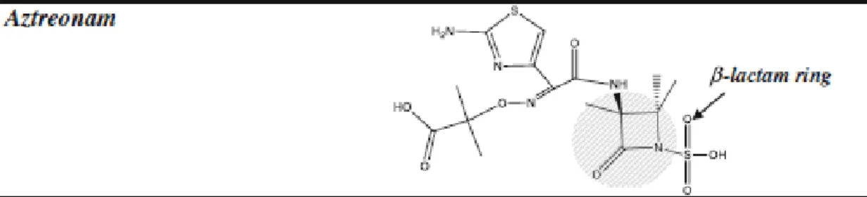 Figure 5 - Structure chimique de l'aztreonam 