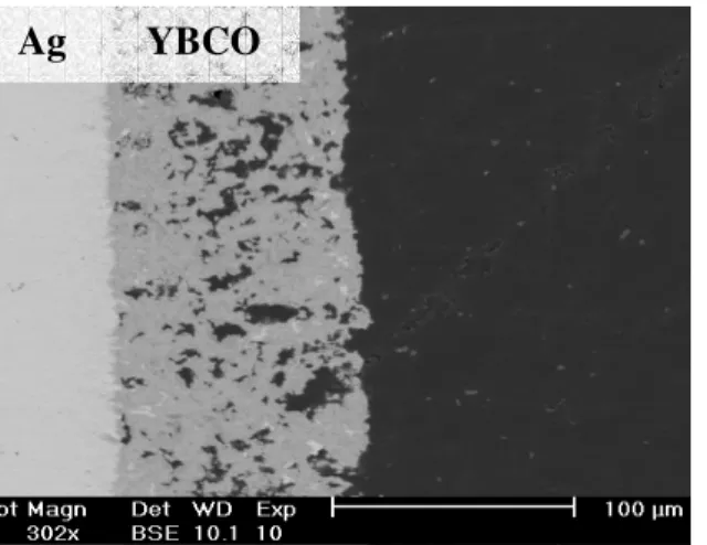 Figure 3. Back-scattered electron micrograph of  the coating realised with YOX powder