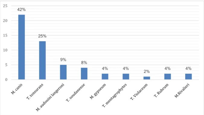 Figure 10 : répartition des dermatophytes  