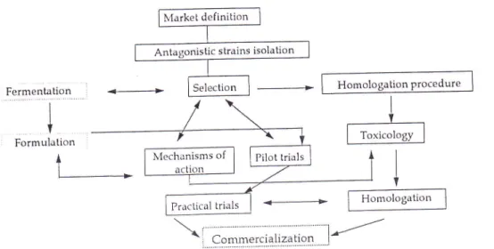 Figure  4.  Steps  leading  to  the practical  use  of  BCA's