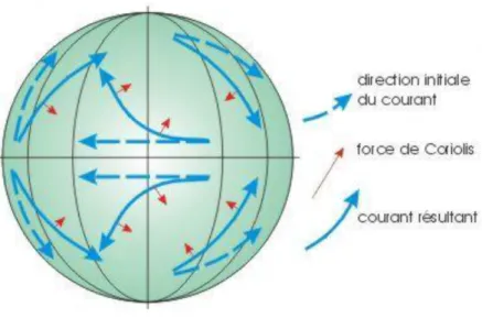 Figure 7: Modélisation de l’effet de la force de Coriolis sur le déplacement des masses d’air à l’échelle de la planète