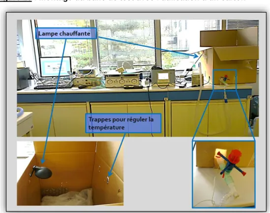 Figure 15 : Montage du banc de test avec l’utilisation d’un carton 
