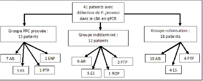 Figure 6 : Design de l’étude 