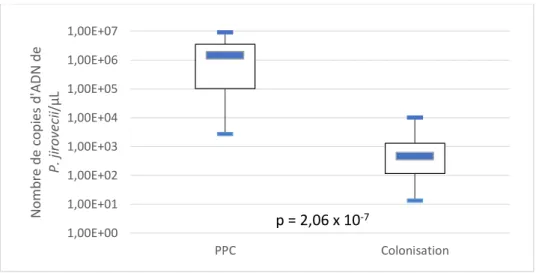 Figure 7 : Comparaison de la charge fongique dans les LBA entre le groupe PPC prouvée  et le groupe colonisation 
