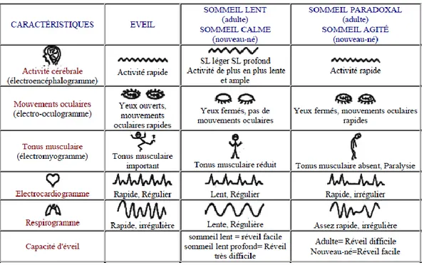 Tableau I : caractéristiques polygraphiques du sommeil normal (5) 
