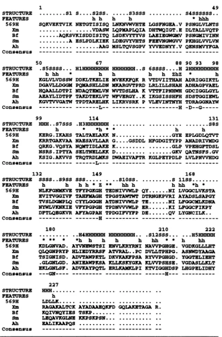 Fig. 4. Comparison of relevant sequences of metallo-13-lactamases with the secondary structures of B.cereus (569/H/9)