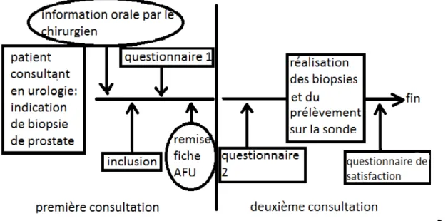 Figure 4 : schéma de l’étude  