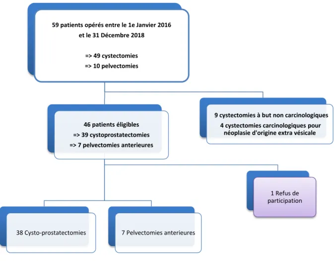 Fig. n°5 : Flow chart 