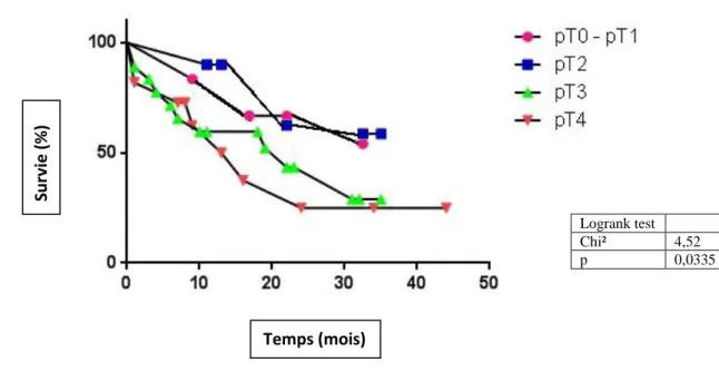 Fig. n°7 : Courbes 