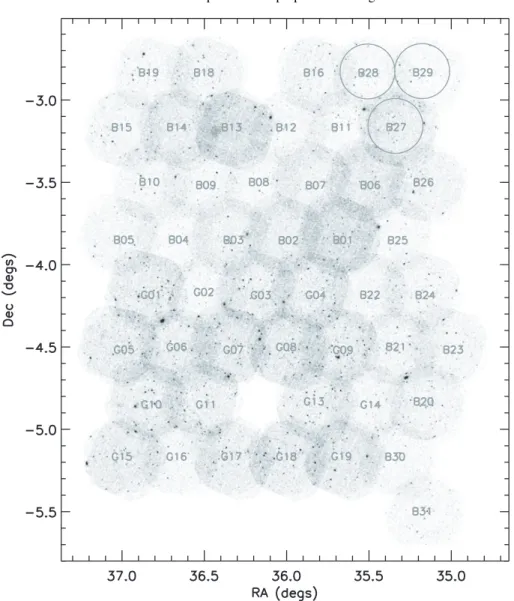 Fig. 1. The layout of the 48 pointings of the XMM-LSS survey. Smoothed 0.5–10 keV photon images for all cameras have been coadded with the same scaling in counts for display (without exposure map correction)
