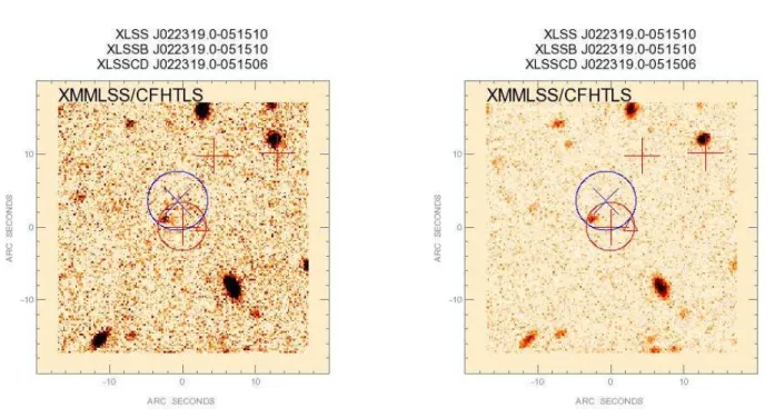 Figure 6. An example of postage stamp image centred on source XLSS J022319.0-051510. The CFHT i and g 40 ′′ × 40 ′′ images are shown in left and right panels respectively