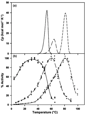 Fig. 4. (a) Unfolding as monitored by diﬀerential scanning calorimetry at a scan rate of 1 K min 1 and (b) thermodependence of activity of the cold-adapted family 8 xylanase pXyl (circles, solid lines), the mesophilic family 11 xylanase Xyl1 [206] (squares
