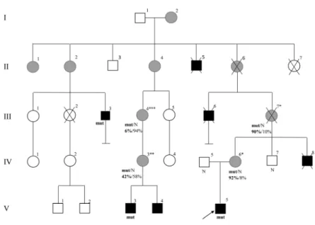 Figure 2 Functional pathogenicity evidence of the c.801A > G variant in the EDA gene