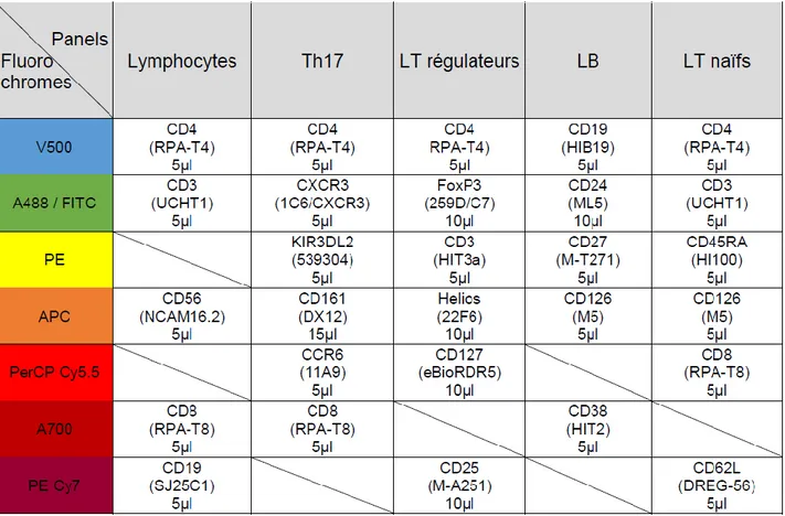 Tableau  2.2  :  Couples  d’anticorps/fluorochromes  pour  chaque  marqueur  utilisés  dans  le  profilage des SPL : 1 profil par colonne, nom du clone et quantité utilisée