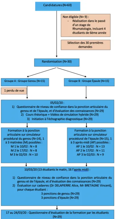 Figure 12 : Diagramme de flux 