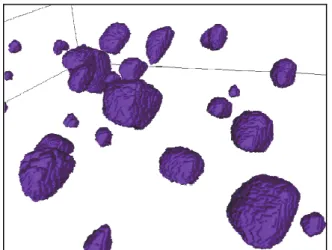 Fig. 14. STEM HAADF reconstruction of nanometric  ErSi inclusions in a ceramic body. 