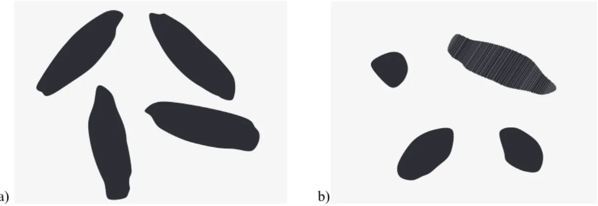 Fig. 1. Four rice grains pictured under controlled orientation (a) and uncontrolled orientation (b)