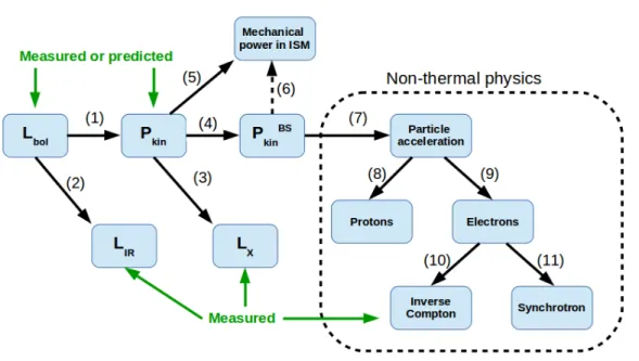 Figure 5. Schematic view of the energy budget of bow shock runaways with emphasis on the non-thermal physics.