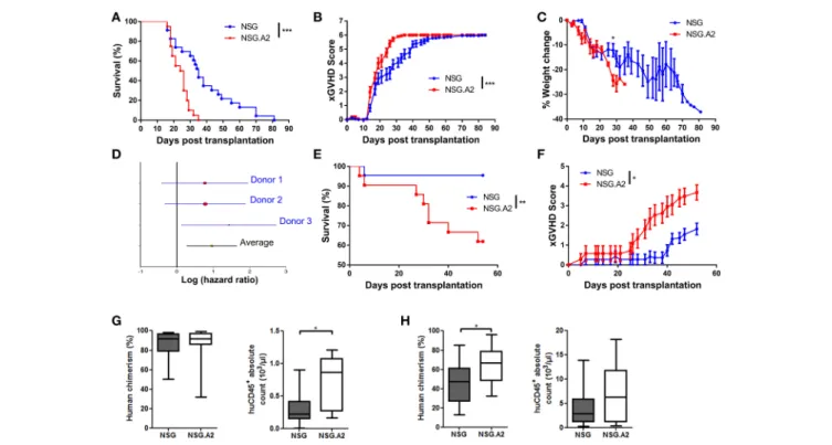 FIGURE 5 | Higher lethality and severity of xGVHD in NSG-HLA-A2/HHD mice transplanted with non-HLA-A2 PBMCs