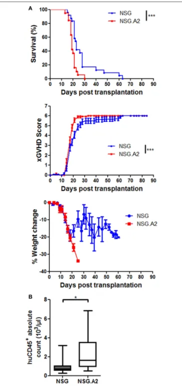 FIGURE 6 | XGVHD in NSG-HLA-A2/HHD mice transplanted with HLA-A2 + donors. NSG and NSG-HLA-A2/HHD (NSG.A2 in figure) mice received sublethal total body irradiation (2.5 Gy) and were infused 24 h later with 2 × 10 6 human PBMCs intravenously