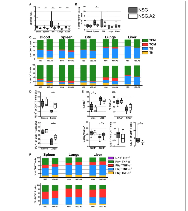 FIGURE 3 | Differentiation and phenotype of human T cells in NSG and NSG-HLA-A2/HHD mice transplanted with HLA-A2 PBMCs