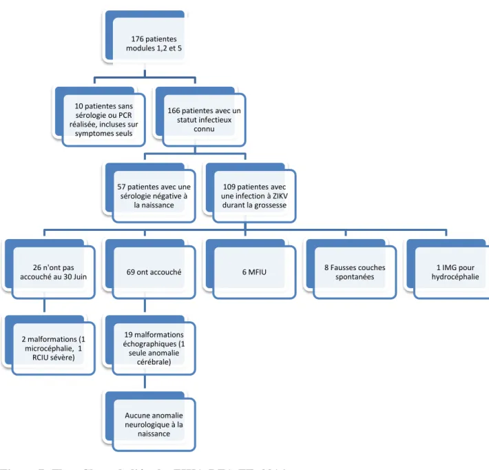 Figure 7: Flow Chart de l'étude. ZIKA-DFA-FE, 2016 
