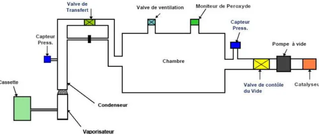 Figure 7 : Schéma du Sterrad ®  100NX (source A.S.P.) 