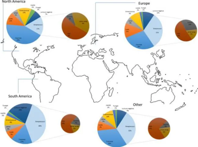 Figure 1 : Répartition géographique des bactéries responsables d’EI à l’échelle mondiale 8 