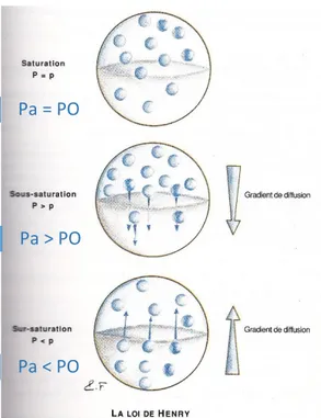 Figure 2 : Représentation schématique des différents états de saturation. (3) 