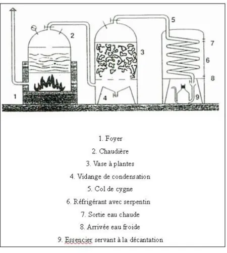 Fig. 16. Schéma d'un alambic