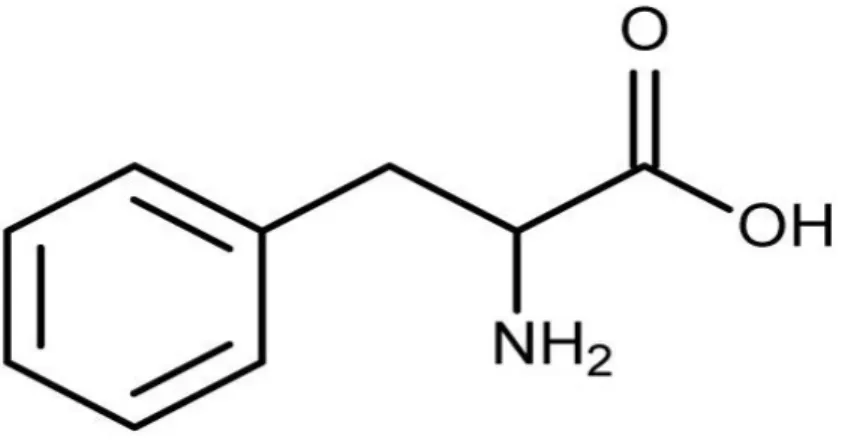 Fig. 21. Structure chimique de la phénylalanine