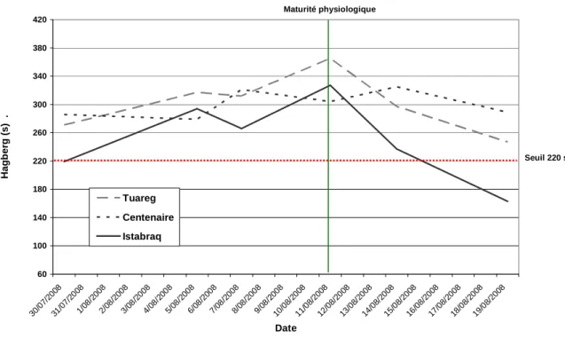 Figure 1 – Evolution du nombre de chute de Hagberg (semis du 25 octobre). 