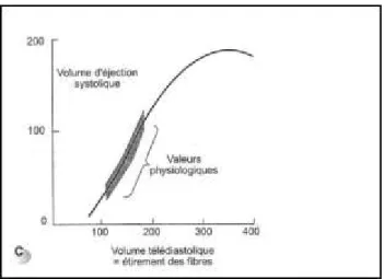 Figure 4: Courbe représentant la relation entre précharge et volume d'éjection systolique