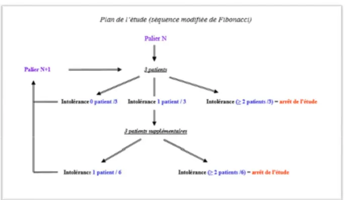 Figure n° 3 : Exemple d'escalade de doses par palier dans les études cliniques de  phase I 