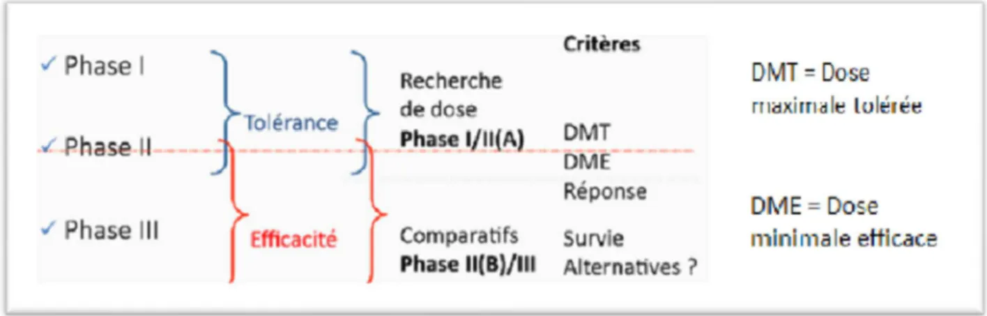Figure n°4 : Les phases de recherche clinique : différences et similitudes