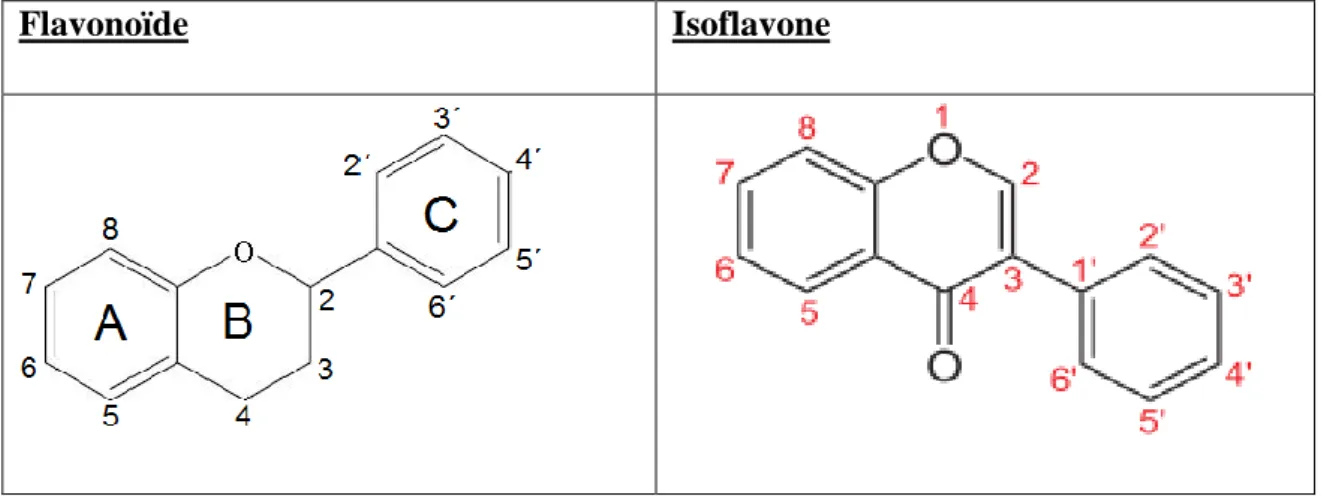 Figure 8 : Comparaison de structure des flavonoïdes et isoflavones 