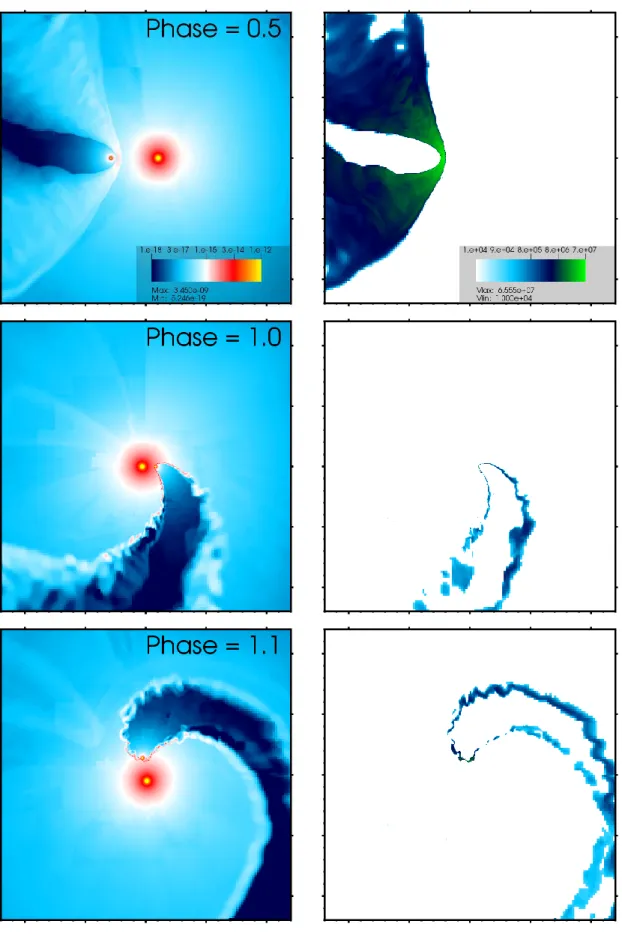 Figure 1: 3-D hydrodynamic simulation of the wind-wind interaction in WR 22 including the effect of radiative acceleration (from Parkin and Gosset, 2011)